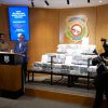 Incautan 243 paquetes de  presumible droga en Río San Juan María Trinidad Sánchez