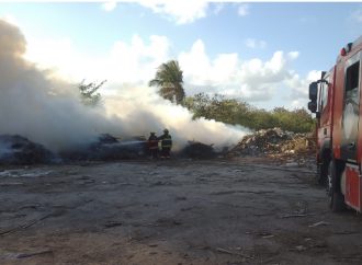 Bomberos de Punta Cana sofocan incendios forestal y en vertedero