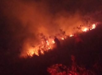 80 incendios forestales se han producido en lo que va de marzo  en Veron, Punta Cana