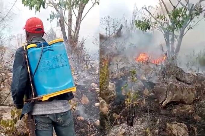 Presentación periódica e impedimento de salida a hombre destruyó 50 tareas de bosque en Hato Mayor