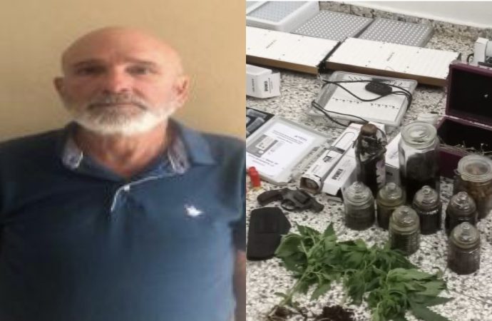 PN apresa hombre con plantación de marihuana  en Constanza