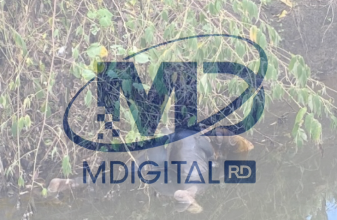 Encuentran cadáver amordazado en carretera Uvero Alto-Nisibón
