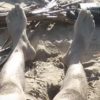 Hombre muere ahogado en playa de Miches