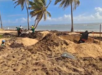 COALICIÓN AMBIENTAL DEL ESTE Y MACORÍS VERDE DENUNCIAN ENTIERRO ILEGAL DE SARGAZO EN PLAYAS DE UVERO ALTO