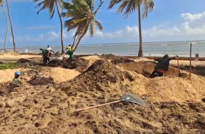 COALICIÓN AMBIENTAL DEL ESTE Y MACORÍS VERDE DENUNCIAN ENTIERRO ILEGAL DE SARGAZO EN PLAYAS DE UVERO ALTO