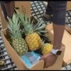 Intentan enviar 30 paquetes de droga  a Alemania por aeropuerto de Punta Cana