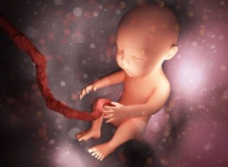 Autoridades investigan hallazgo de feto en solar baldío de Higüey