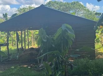 PN rescata adolescente de 15 años raptada en Bonao; responsable fue apresado  tras enfrentamiento