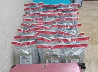 Intervienen dos maletas con 94 paquetes de marihuana  en aeropuerto de Punta Cana