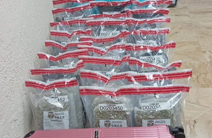 Intervienen dos maletas con 94 paquetes de marihuana en aeropuerto de Punta Cana
