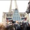 Los Toros de la Virgen: una tradición que mantiene viva la fe y la identidad de Higüey