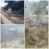 Bomberos sofocan seis incendios de áreas verdes y quema de basura en Verón-Punta Cana