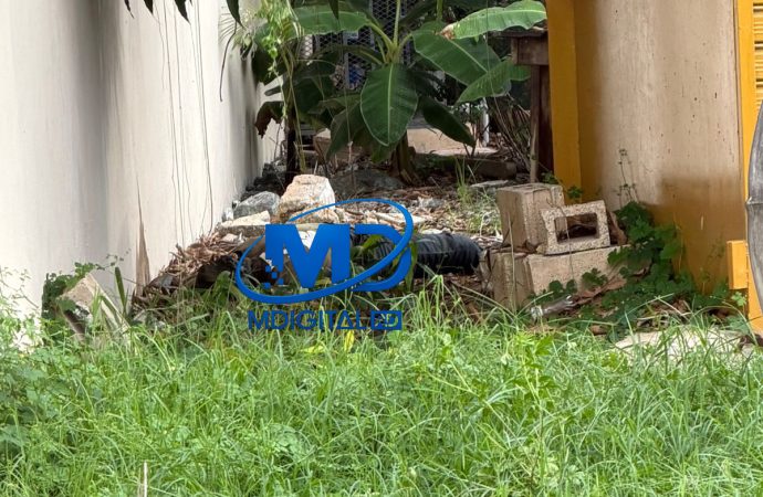 Identifican hombre hallado muerto en solar de Luisa Perla, Higüey