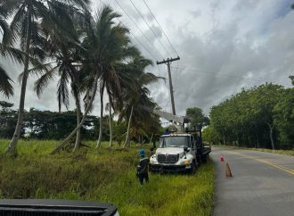 EDEEste corrige  avería en los circuitos HI6901 y HI6904 de la Subestación 69 kV Higüey