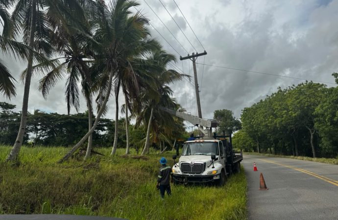 EDEEste corrige avería en los circuitos HI6901 y HI6904 de la Subestación 69 kV Higüey