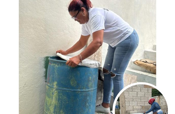 Salud Pública confirma 56 casos de dengue en lo que va de año en  La Altagracia