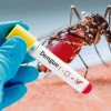 La Altagracia encabeza estadísticas de dengue con 131 casos