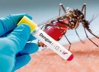 La Altagracia encabeza estadísticas de dengue con 131 casos