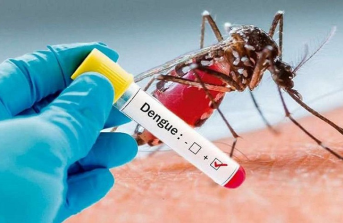 La Altagracia encabeza  estadísticas de dengue  con 131 casos